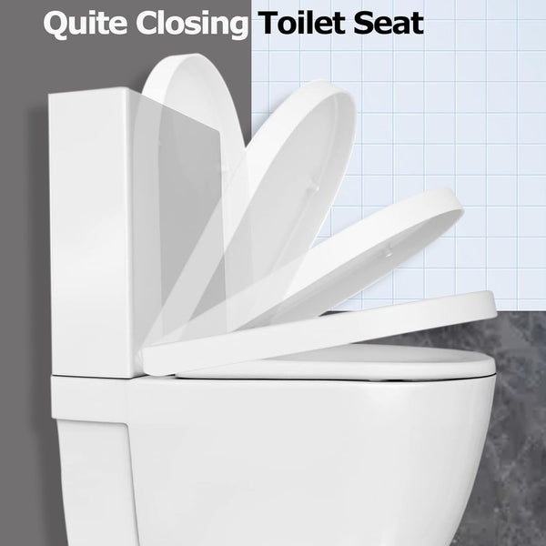 Mass Dynamic D-Shaped White Toilet Seat with Soft Close & Quick Release Hinges, Polypropylene (PP) Material